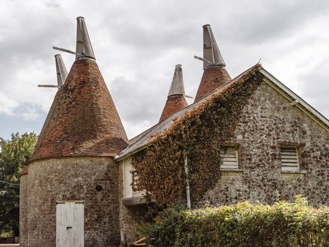 Three oast kilns with conical tiled roofs and white timber cowls, attached to a stone barn range with climbing vegetation across its wall.
